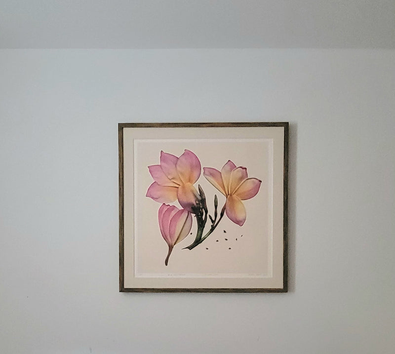 Fine Print Art - Floribus Collection by Mónika Herrán, OA002
